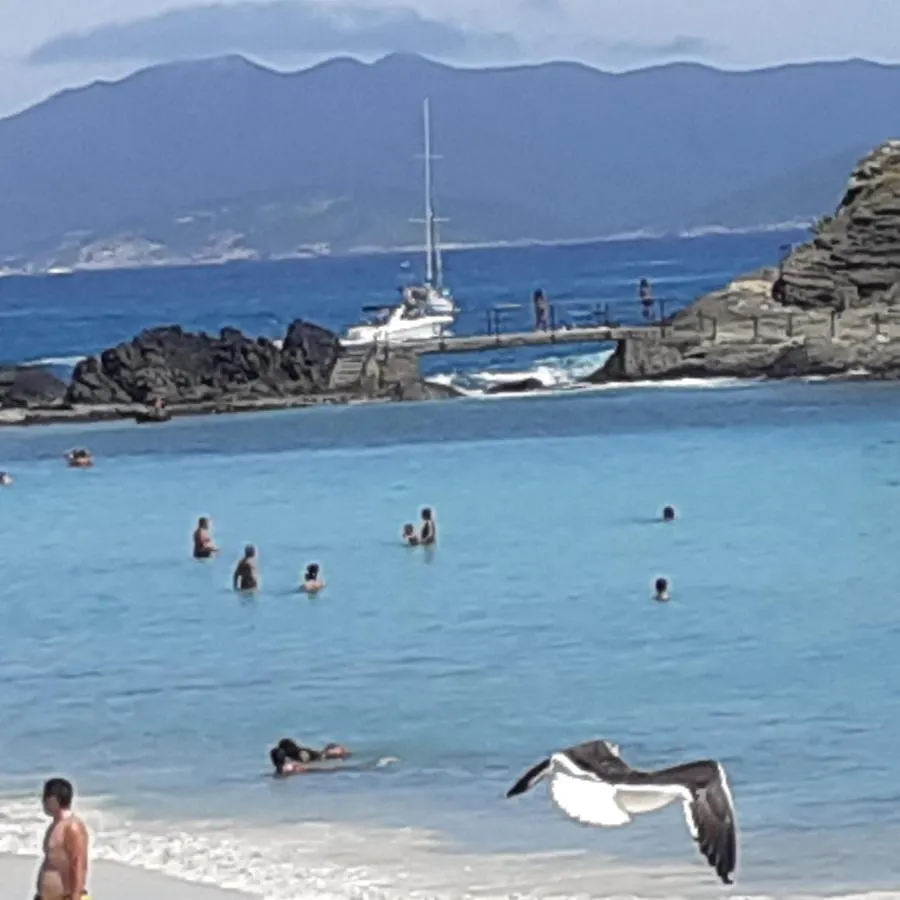 Apartamento Temporada Em Cabo Frio Apartamento